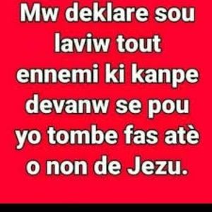 Meet your Posher, Rose